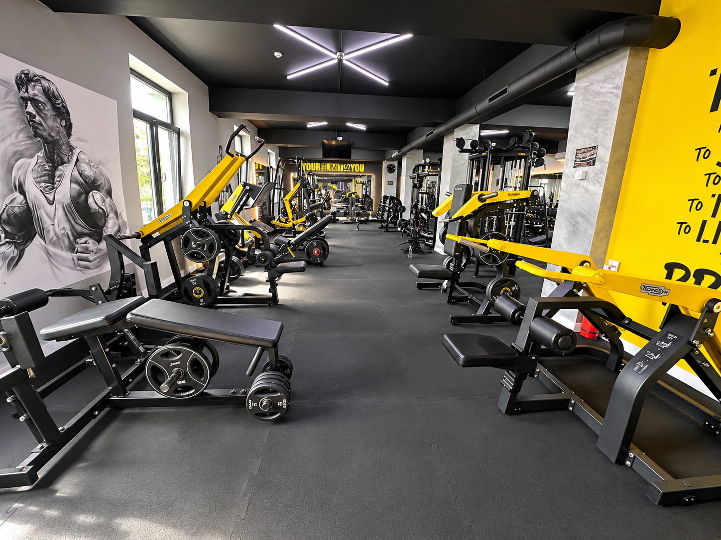 Zona de aparate din sala Alex Negrea GYM